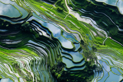 javierpulido_massive_chinese_rice_terraces_photography_from_abo_a08a5077-beaf-4f56-b358-fae3115bf95d