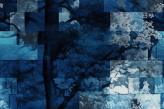 Kravapusk_more_blue_colors_a_tree_covered_in_leaves_in_the_styl_9b003a08-5e4c-4b97-94b2-d0b4343dd4fc