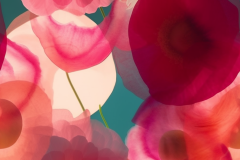 hobo_Abstract_watercolour_washes_fcea9624-375b-4f12-8325-2128b2d57e57