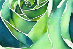 retnaajans_sage_green_rose_watercolor_matisse_style_abstract_in_5e70c3f2-5206-4a03-9e4e-21b04a1c23af