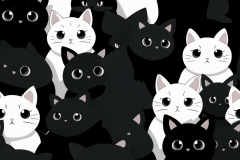 critter_creations1_86407_anime_black_and_white_cats_02dc09cd-a3b7-4250-979f-e49640315658