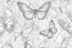 hilvinson20_clear_distinct_butterfly_pattern_1843cdb5-d675-470e-abfe-5be96237cd46