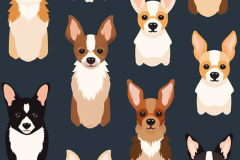 joul_chiwawa_dog_pattern_ad1078e3-77bf-4229-b02f-7e5bdb975765