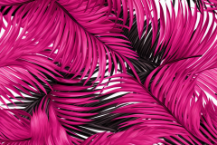 edcdesign_bohemian_hot_pink_vintage_palm_fronds_jungle_chinoise_36c4fd8a-0a06-42c4-9fa7-1eeb15503f6a