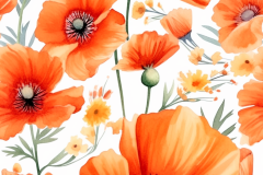 Brittany_S._watercolor_orange_cosmo_flowers_and_poppies._3fb669fa-8db8-4395-9ad4-b7ed3b2ceb3b