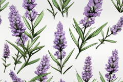 luca80x_lavender_flowers_56b031cb-d529-4518-815f-b7bbab0e2ca5