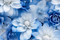 ohcomeonseriously_photographic_flowers_blue_tones_33d0e6ad-9f9c-4eff-a935-62903d3255b7