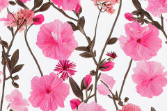 schala0457_beautiful_pink_flowers_pale_pink_craft_paper_wild_fl_7413de97-7c2a-4f87-aa80-c578c5edd1d5