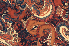 vinigougon_paisley_d4a846d2-a888-4486-beb8-3a8b69247274