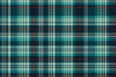 ilzelucerophoto_flanel_plaid_67b99398-e65a-4b03-871e-d7a3b3cfb1b3