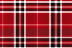 ilzelucerophoto_red_plaid_e72d97e9-7115-4257-99c1-5eb5c059a4d2