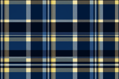 whimsyartnook_46139_a_navy_plaid_pattern_1
