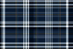 whimsyartnook_46139_a_navy_plaid_pattern_2
