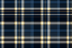 whimsyartnook_46139_a_navy_plaid_pattern_3