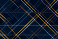 whimsyartnook_46139_a_navy_plaid_pattern_4