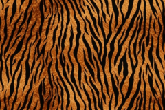 Eagle51_classic_animal_print_pattern_tiger_stripes_d006c7ce-5400-4a26-bf34-b2b2f88ebee7